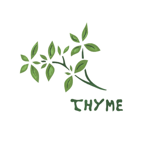 Thyme Herb Wall Stencil