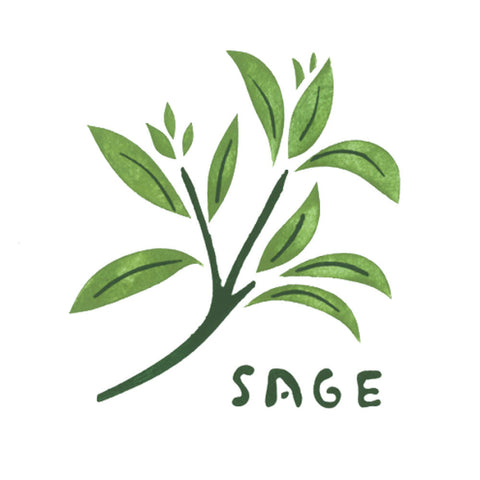 Sage Herb Wall Stencil