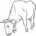 Cow Wall Stencil 11