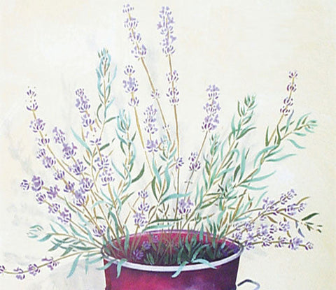 Lavender Wall Stencil by DeeSigns