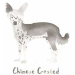 Chinese Crested Dog Mini Stencil