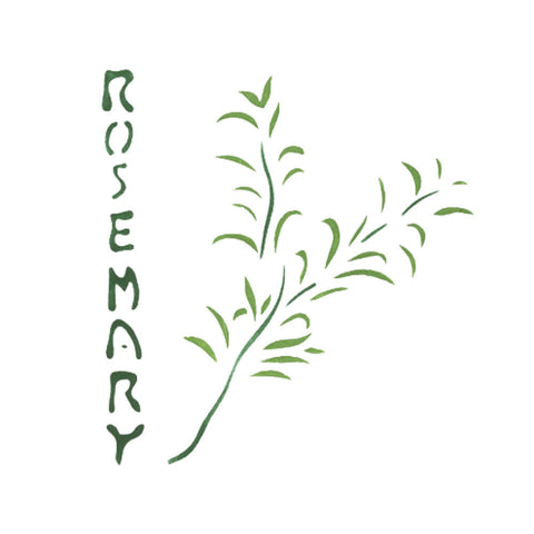 Rosemary Herb Wall Stencil