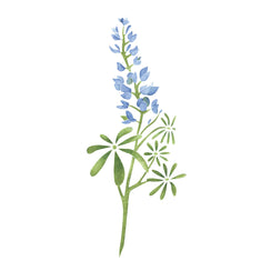 Texas Bluebonnet Flower Stencil by Designer Stencils