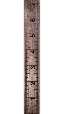 10 Inch Wide Detailed Ruler Growth Chart Wall Stencil