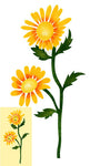 Twin Daisy Flowers Wall Stencil
