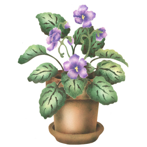 African Violet Wall Stencil by The Mad Stencilist