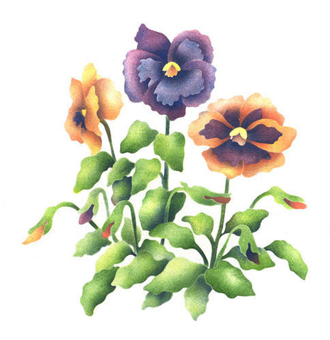 Pansies Wall Stencil by The Mad Stencilist