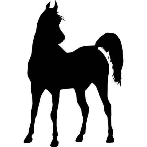 Alert Horse Silhouette Stencil