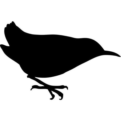 Robin Bird Stencil
