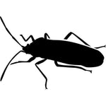 Insect Wall Stencils beetle 1