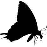 Insect Wall Stencils Butterfly