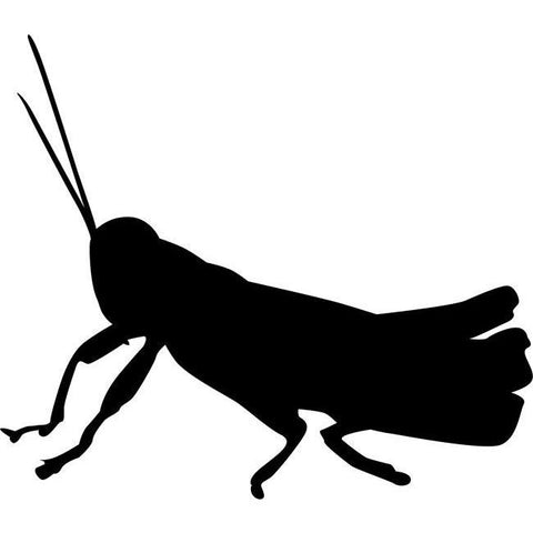 Grasshopper Stencil