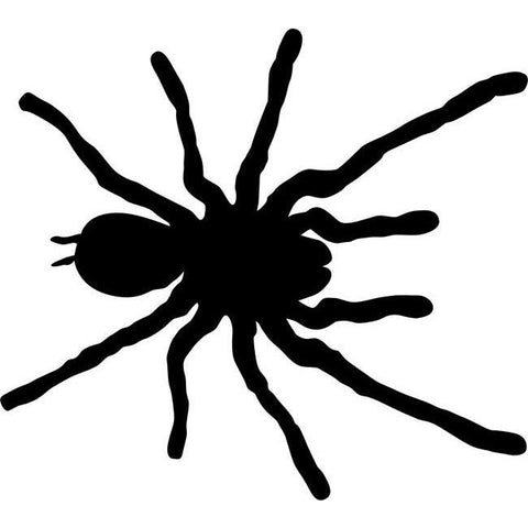 Tarantula Spider Stencil