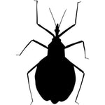 Insect Wall Stencils Beetle 2
