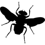 Insect Wall Stencils HouseFly