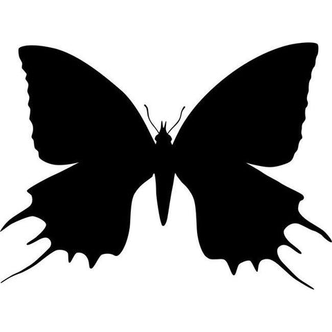 Giant Swallowtail Butterfly Stencil