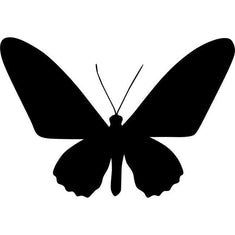 Emperor Butterfly Stencil