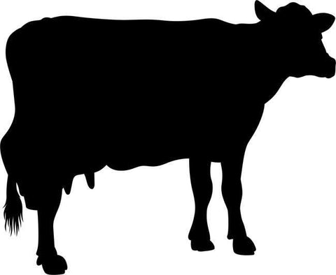 Bull Bust Stencil