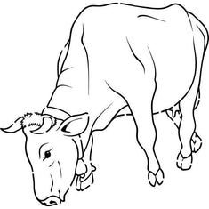 Grazing Bull Stencil