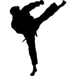 Roundhouse Kick Karate Stencil