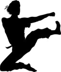 Flying Kick Karate Stencil