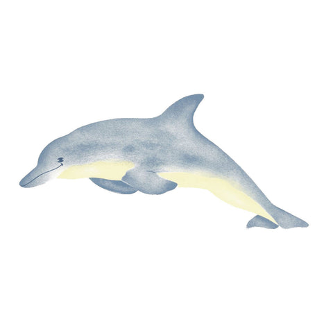 Large Single Dolphin Wall Stencil