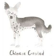 Chinese Crested Dog Mini Stencil