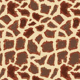 Giraffe Print Wall Painting Stencil