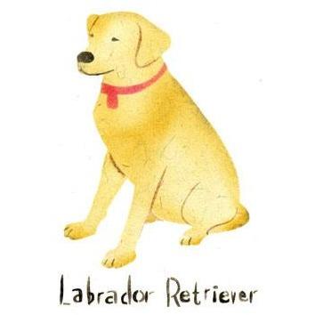 Labrador Retriever Greeting Card Craft Stencil